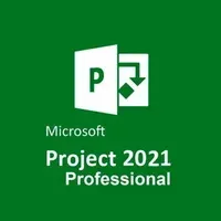Microsoft Project Professional 2021, Mídia Física